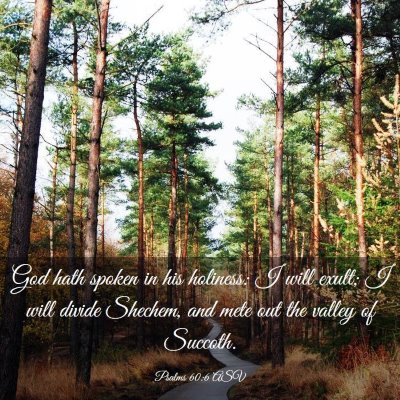 Picture 03 - Psalms 60:6 ASV - God hath spoken in his holiness: I will exult; I - Bible Verse Picture