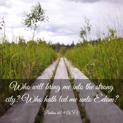 Picture 03 - Psalms 60:9 ASV - Who will bring me into the strong city? Who hath - Bible Verse Picture