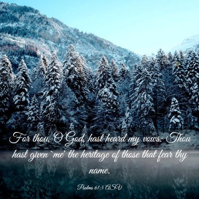 Picture 03 - Psalms 61:5 ASV - For thou, O God, hast heard my vows: Thou hast - Bible Verse Picture