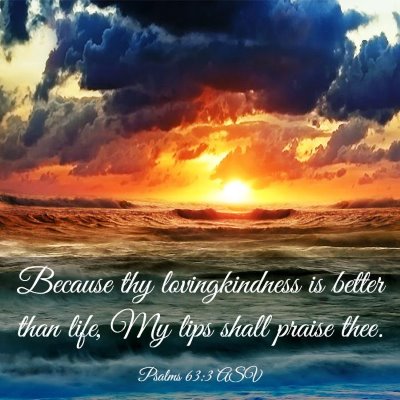 Picture 03 - Psalms 63:3 ASV - Because thy lovingkindness is better than life, - Bible Verse Picture