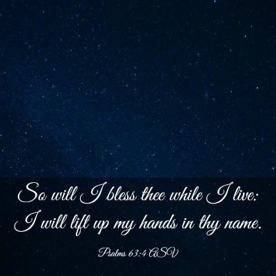 Picture 03 - Psalms 63:4 ASV - So will I bless thee while I live: I will lift up - Bible Verse Picture