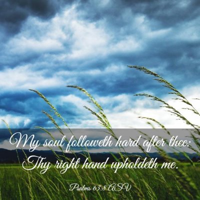 Picture 03 - Psalms 63:8 ASV - My soul followeth hard after thee: Thy right hand - Bible Verse Picture
