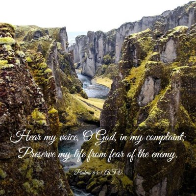 Picture 03 - Psalms 64:1 ASV - Hear my voice, O God, in my complaint: Preserve - Bible Verse Picture