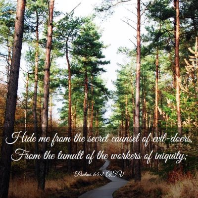Picture 03 - Psalms 64:2 ASV - Hide me from the secret counsel of evil-doers, - Bible Verse Picture