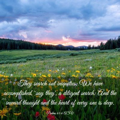 Picture 03 - Psalms 64:6 ASV - They search out iniquities; We have accomplished, - Bible Verse Picture