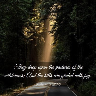 Picture 03 - Psalms 65:12 ASV - They drop upon the pastures of the wilderness; - Bible Verse Picture