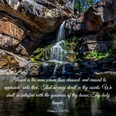 Picture 03 - Psalms 65:4 ASV - Blessed is the man whom thou choosest, and - Bible Verse Picture
