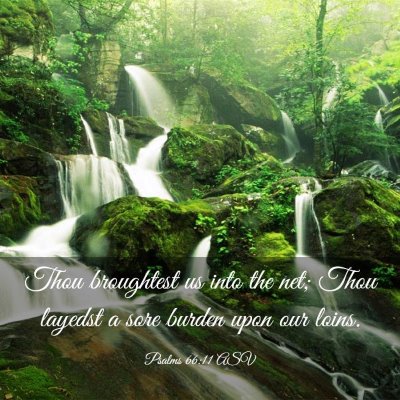 Picture 03 - Psalms 66:11 ASV - Thou broughtest us into the net; Thou layedst a - Bible Verse Picture