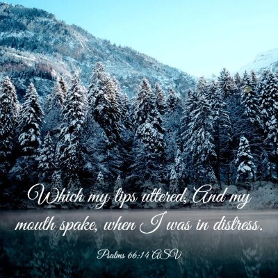 Picture 03 - Psalms 66:14 ASV - Which my lips uttered, And my mouth spake, when I - Bible Verse Picture
