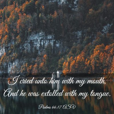 Picture 03 - Psalms 66:17 ASV - I cried unto him with my mouth, And he was - Bible Verse Picture