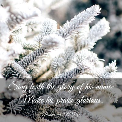 Picture 03 - Psalms 66:2 ASV - Sing forth the glory of his name: Make his praise - Bible Verse Picture