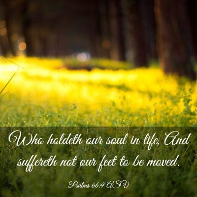 Picture 03 - Psalms 66:9 ASV - Who holdeth our soul in life, And suffereth not - Bible Verse Picture