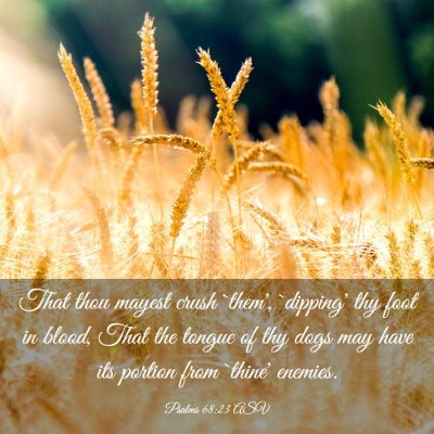 Picture 03 - Psalms 68:23 ASV - That thou mayest crush `them', `dipping' thy foot - Bible Verse Picture