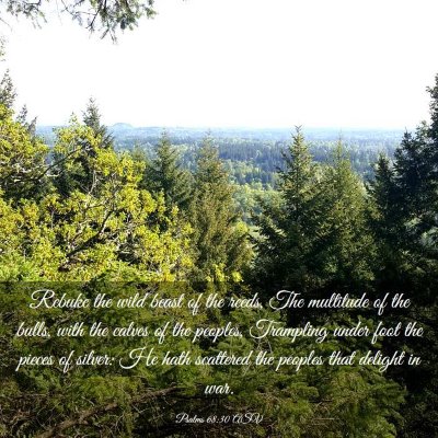 Picture 03 - Psalms 68:30 ASV - Rebuke the wild beast of the reeds, The multitude - Bible Verse Picture