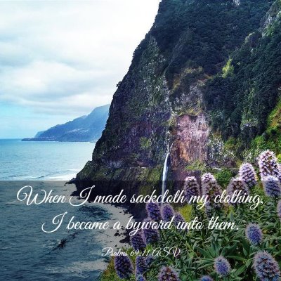 Picture 03 - Psalms 69:11 ASV - When I made sackcloth my clothing, I became a - Bible Verse Picture