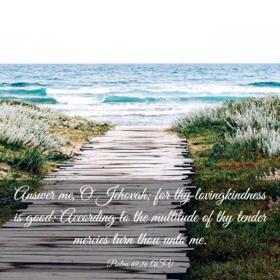 Picture 03 - Psalms 69:16 ASV - Answer me, O Jehovah; for thy lovingkindness is - Bible Verse Picture