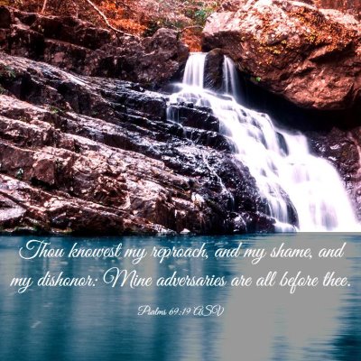 Picture 03 - Psalms 69:19 ASV - Thou knowest my reproach, and my shame, and my - Bible Verse Picture