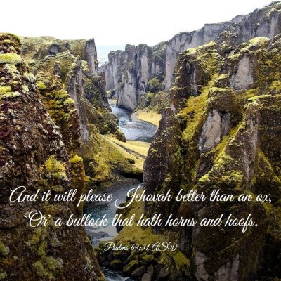 Picture 03 - Psalms 69:31 ASV - And it will please Jehovah better than an ox, - Bible Verse Picture