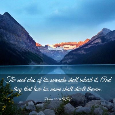 Picture 03 - Psalms 69:36 ASV - The seed also of his servants shall inherit it; - Bible Verse Picture