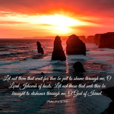 Picture 03 - Psalms 69:6 ASV - Let not them that wait for thee be put to shame - Bible Verse Picture