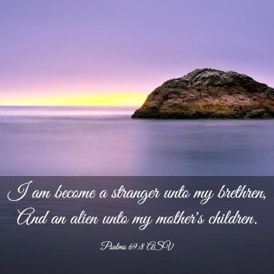 Picture 03 - Psalms 69:8 ASV - I am become a stranger unto my brethren, And an - Bible Verse Picture