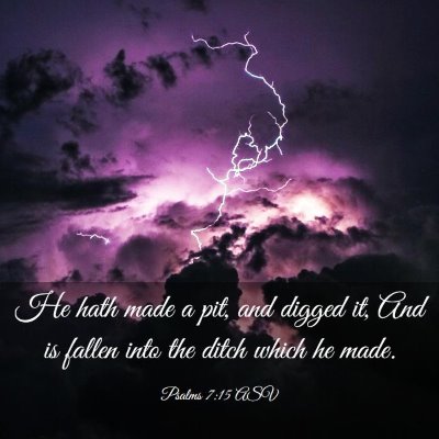 Picture 03 - Psalms 7:15 ASV - He hath made a pit, and digged it, And is fallen - Bible Verse Picture