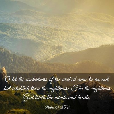 Picture 03 - Psalms 7:9 ASV - O let the wickedness of the wicked come to an - Bible Verse Picture