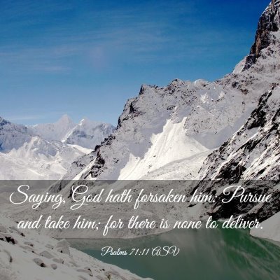 Picture 03 - Psalms 71:11 ASV - Saying, God hath forsaken him: Pursue and take - Bible Verse Picture