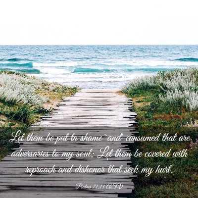 Picture 03 - Psalms 71:13 ASV - Let them be put to shame `and' consumed that are - Bible Verse Picture