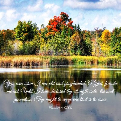 Picture 03 - Psalms 71:18 ASV - Yea, even when I am old and grayheaded, O God, - Bible Verse Picture