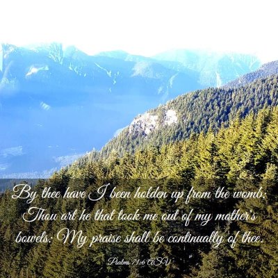 Picture 03 - Psalms 71:6 ASV - By thee have I been holden up from the womb; Thou - Bible Verse Picture