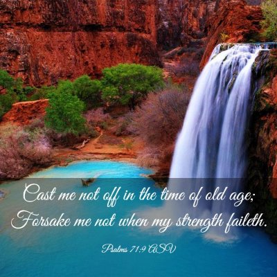 Picture 03 - Psalms 71:9 ASV - Cast me not off in the time of old age; Forsake - Bible Verse Picture