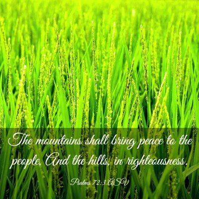 Picture 03 - Psalms 72:3 ASV - The mountains shall bring peace to the people, - Bible Verse Picture