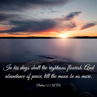 Picture 03 - Psalms 72:7 ASV - In his days shall the righteous flourish, And - Bible Verse Picture