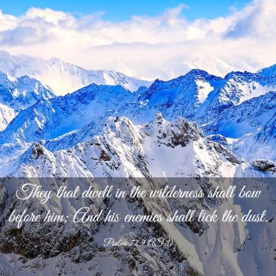 Picture 03 - Psalms 72:9 ASV - They that dwell in the wilderness shall bow - Bible Verse Picture