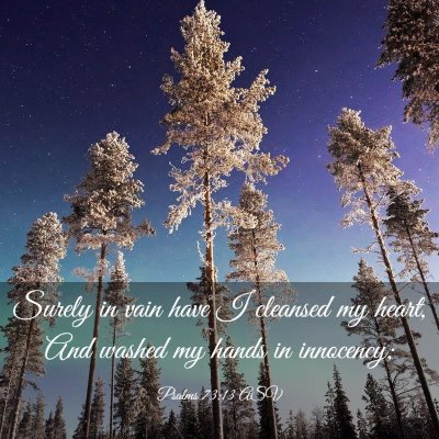 Picture 03 - Psalms 73:13 ASV - Surely in vain have I cleansed my heart, And - Bible Verse Picture