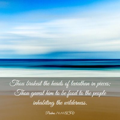 Picture 03 - Psalms 74:14 ASV - Thou brakest the heads of leviathan in pieces; - Bible Verse Picture