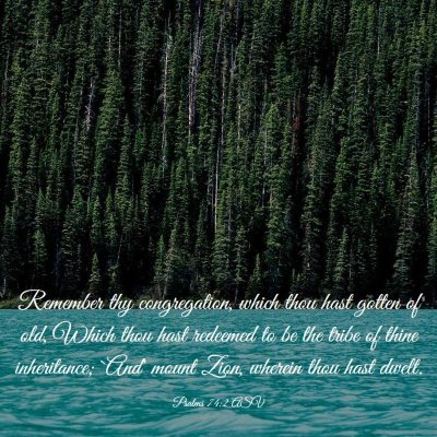 Picture 03 - Psalms 74:2 ASV - Remember thy congregation, which thou hast gotten - Bible Verse Picture