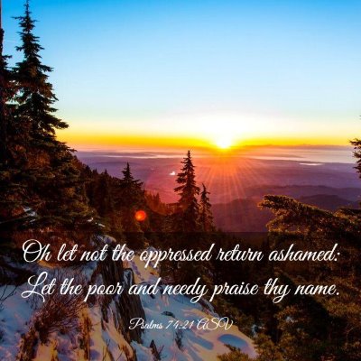 Picture 03 - Psalms 74:21 ASV - Oh let not the oppressed return ashamed: Let the - Bible Verse Picture