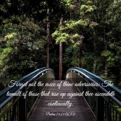 Picture 03 - Psalms 74:23 ASV - Forget not the voice of thine adversaries: The - Bible Verse Picture