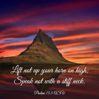 Picture 03 - Psalms 75:5 ASV - Lift not up your horn on high; Speak not with a - Bible Verse Picture