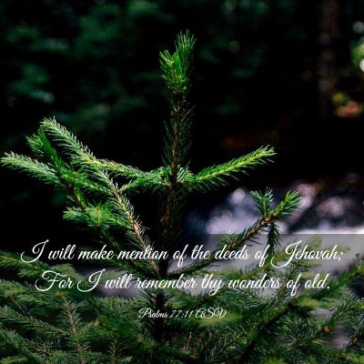 Picture 03 - Psalms 77:11 ASV - I will make mention of the deeds of Jehovah; For - Bible Verse Picture
