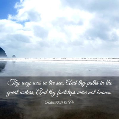 Picture 03 - Psalms 77:19 ASV - Thy way was in the sea, And thy paths in the - Bible Verse Picture