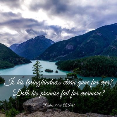 Picture 03 - Psalms 77:8 ASV - Is his lovingkindness clean gone for ever? Doth - Bible Verse Picture