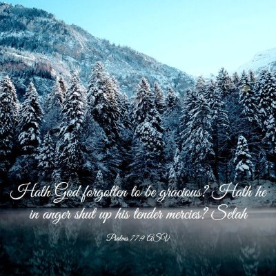 Picture 03 - Psalms 77:9 ASV - Hath God forgotten to be gracious? Hath he in - Bible Verse Picture