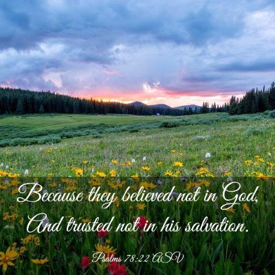 Picture 03 - Psalms 78:22 ASV - Because they believed not in God, And trusted not - Bible Verse Picture