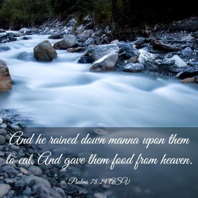 Picture 03 - Psalms 78:24 ASV - And he rained down manna upon them to eat, And - Bible Verse Picture