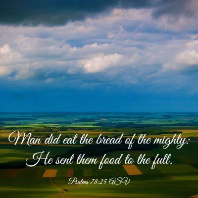 Picture 03 - Psalms 78:25 ASV - Man did eat the bread of the mighty: He sent them - Bible Verse Picture