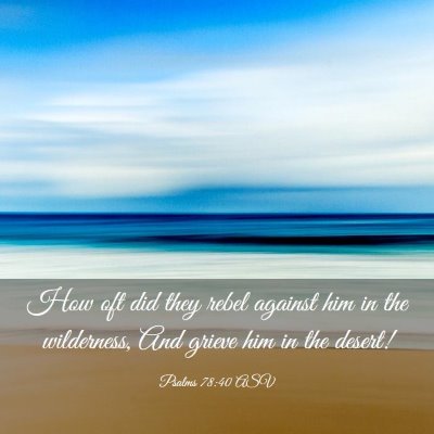Picture 03 - Psalms 78:40 ASV - How oft did they rebel against him in the - Bible Verse Picture