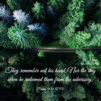 Picture 03 - Psalms 78:42 ASV - They remember not his hand, Nor the day when he - Bible Verse Picture